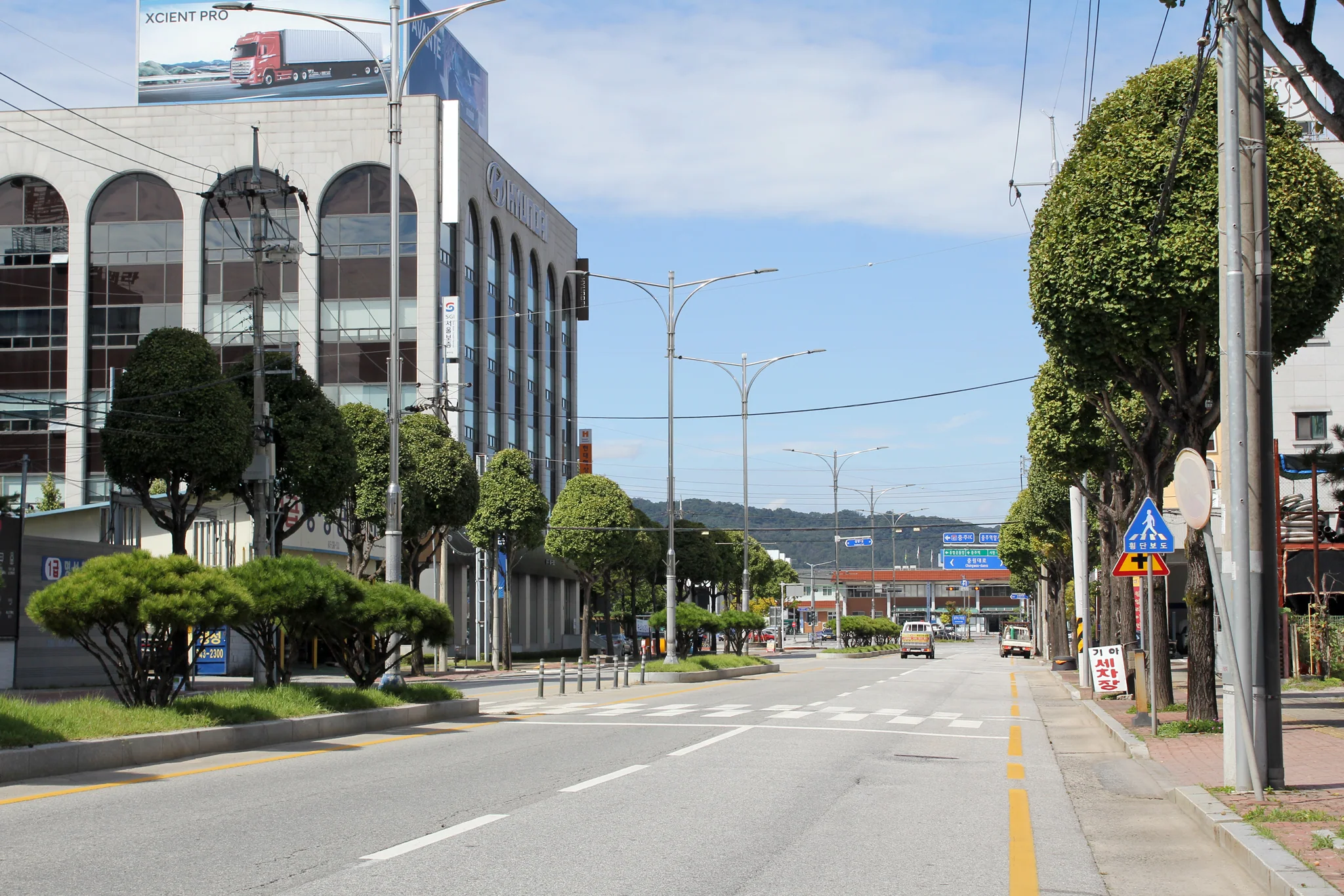 충주시 금릉동 은행나무 길
