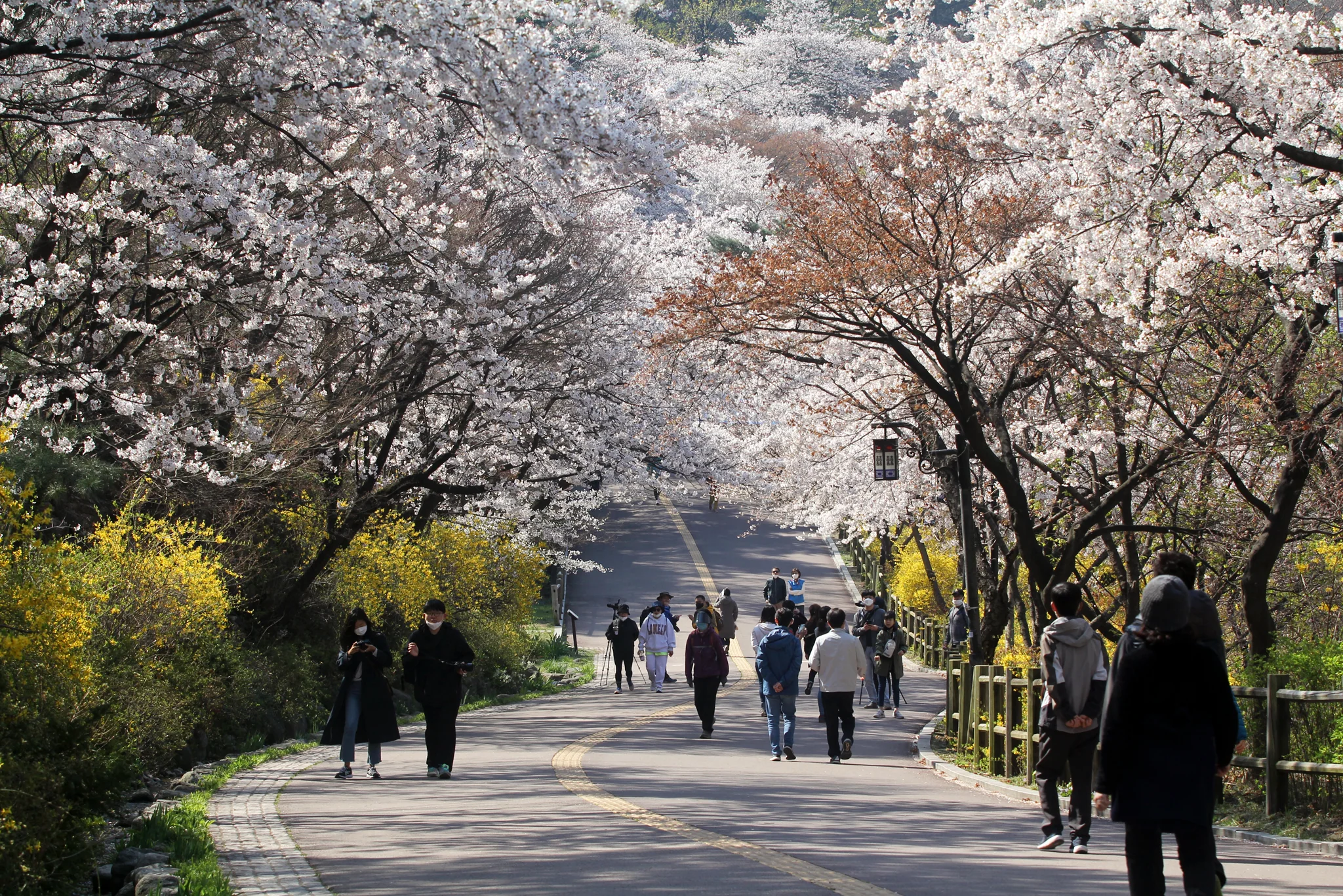 중구 남산 둘레길