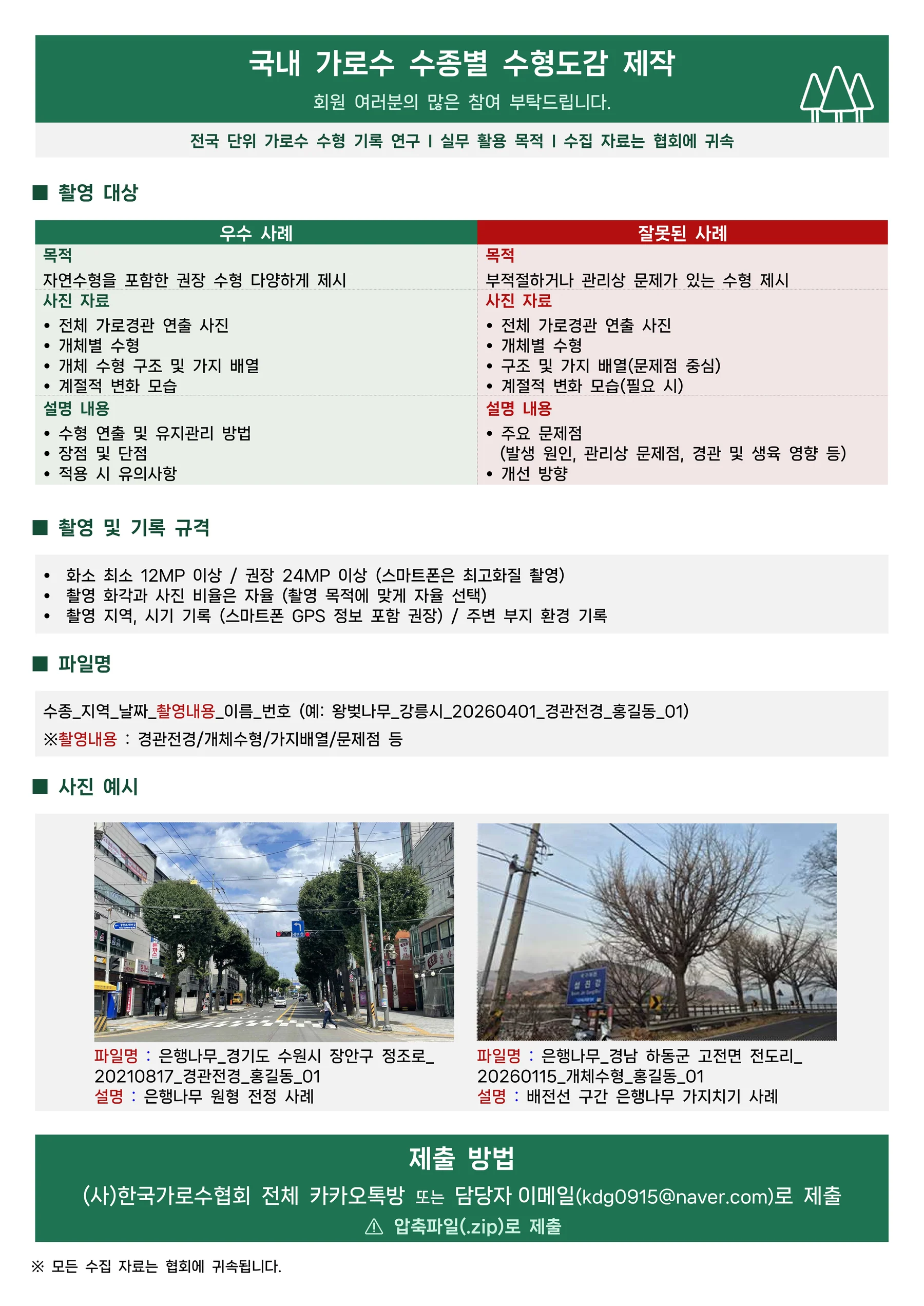 국내 가로수 수종별 수형도감 제작 참여 안내 대표 이미지